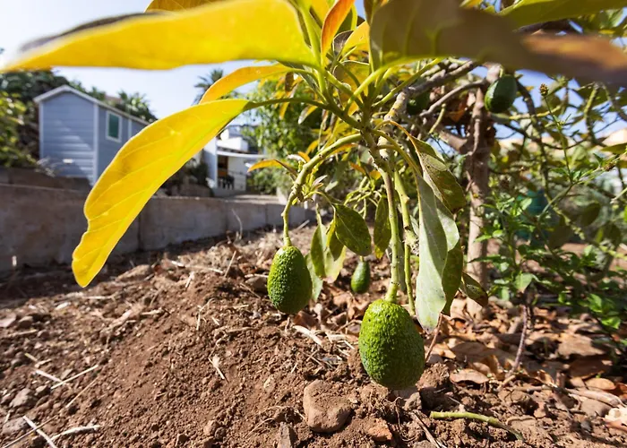 Okstay - Casa Canaria En El Ferienhaus *