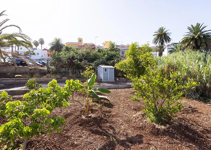 Semesterbostad Okstay - Casa Canaria En El Sauzal