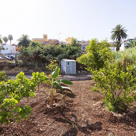 Semesterbostad Okstay - Casa Canaria En El
