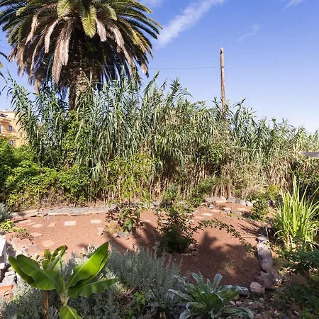 Okstay - Casa Canaria En El Semesterbostad Sauzal