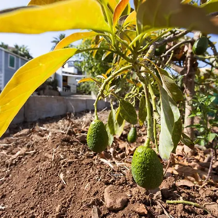 Okstay - Casa Canaria En El Sauzal Prázdninový dům *